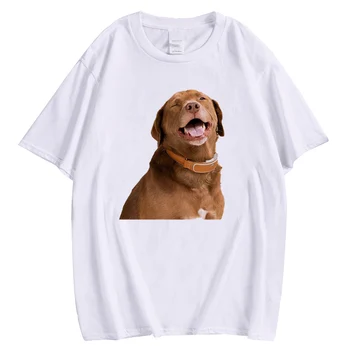 HX Labrador Bombaža T-shirt 3D Grafiko, Nasmejan Čokolada Labrador T-majice, Smešne Živali Puloverju Vrhovi 100% Bombaž Tees Slike